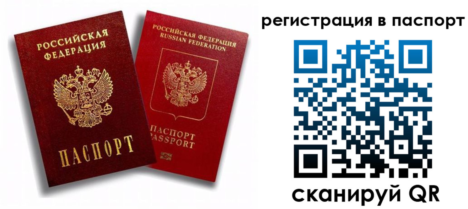 прописка 2025 в Коркино